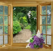 窗口期社区盾传出新动向，犹他爵士强势反弹，管理层表态——态度坚定，轮换策略成焦点